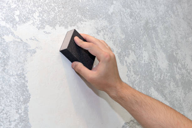 Best Air Quality Testing for Mold Spores  in Momence, IL