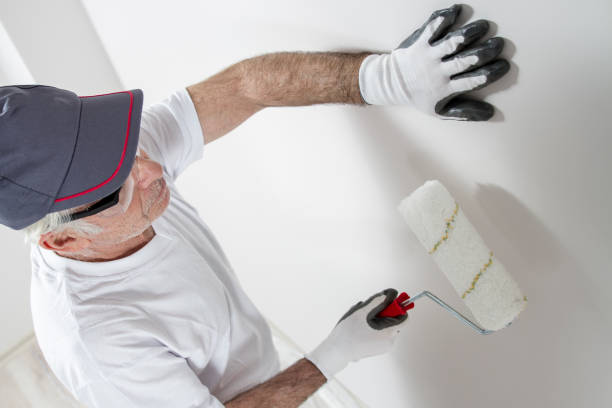 Best Real Estate Mold Inspection  in Momence, IL