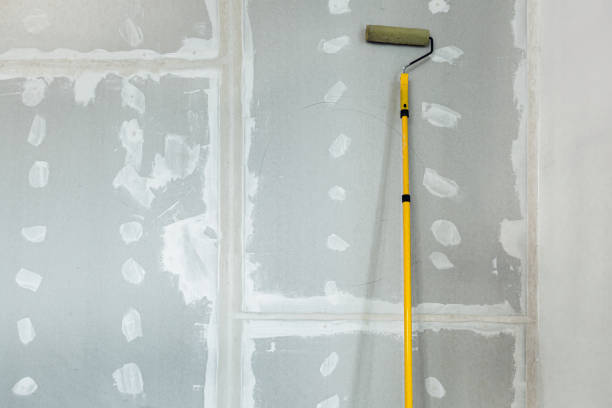 Best HVAC Mold Inspection and Cleaning  in Momence, IL