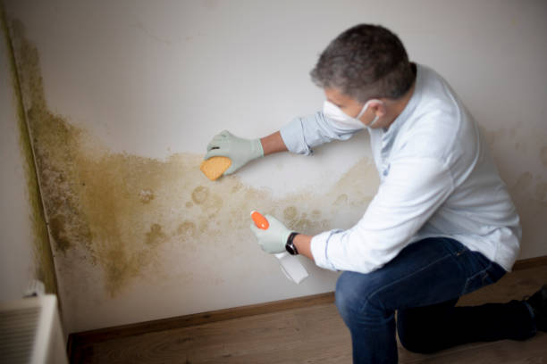 Best Indoor Air Quality Assessment  in Momence, IL