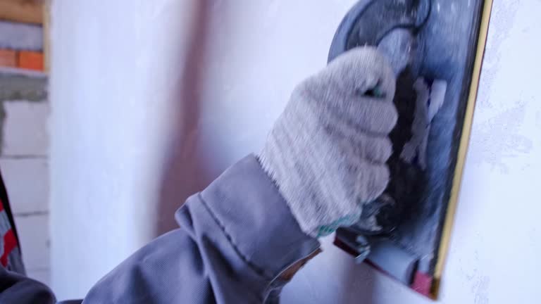 Best Mold Odor Removal Services  in Momence, IL
