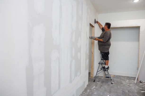 Best Attic Mold Removal  in Momence, IL