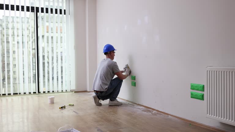 Best Mold Damage Restoration  in Momence, IL