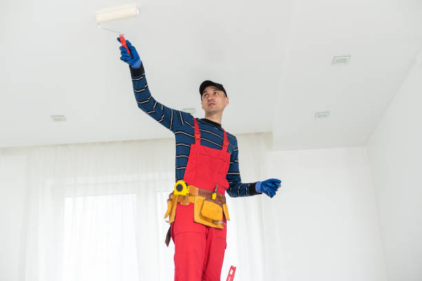 Best Industrial Mold Remediation  in Momence, IL