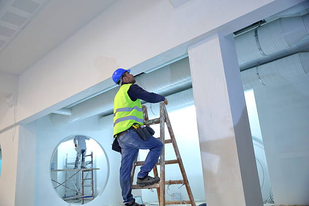 Best Attic Mold Removal  in Momence, IL